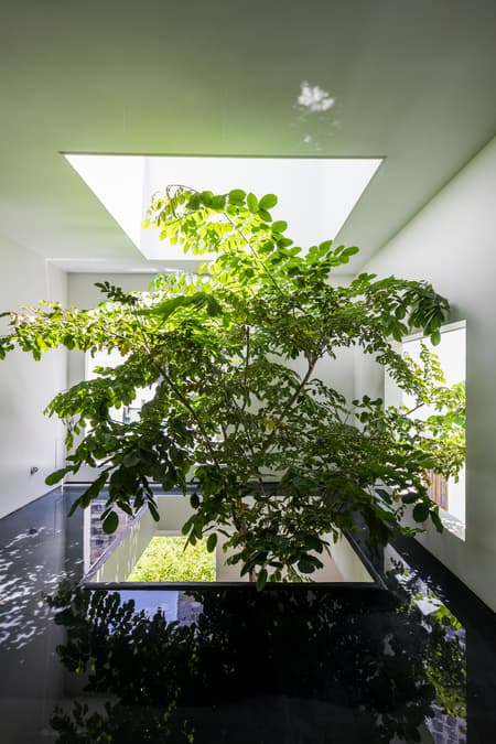 Sky House